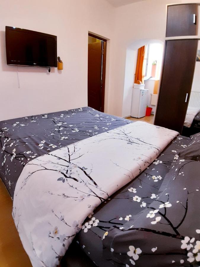 Studio La Stefy Daire Sibiu Dış mekan fotoğraf